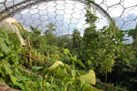 Eden Project